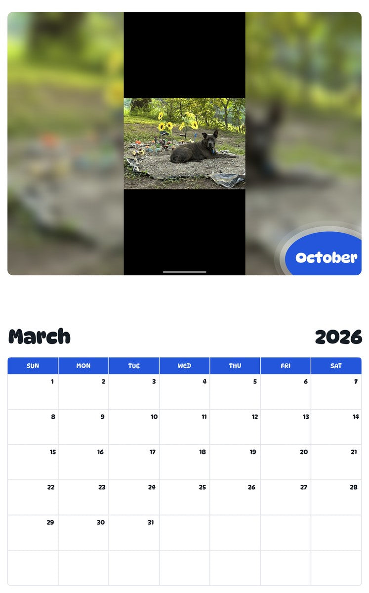 November 2025 - October 2026 October - Pawidols Pet Calendar
