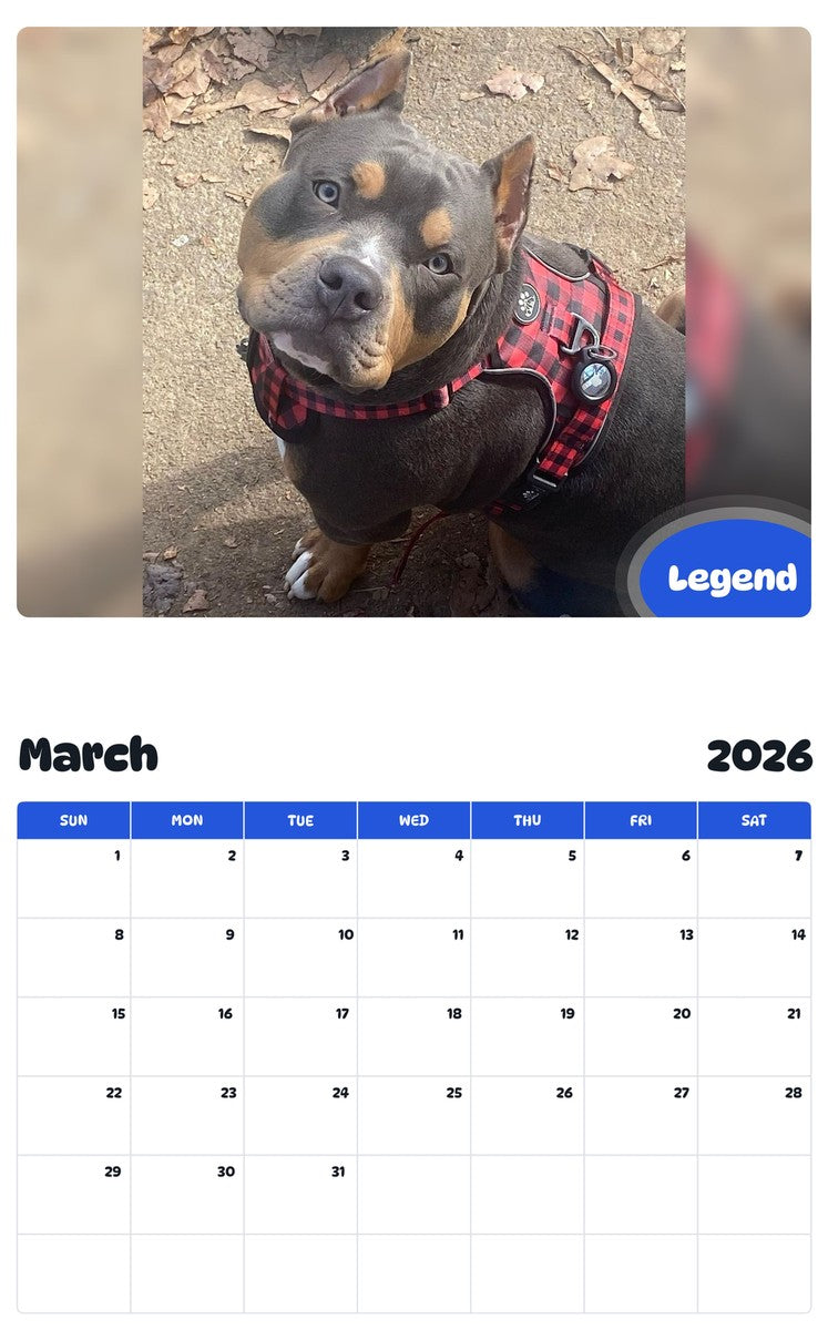 November 2025 - October 2026 Legend - Pawidols Pet Calendar
