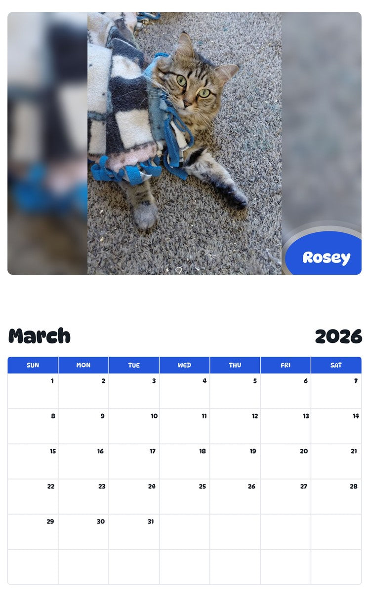 November 2025 - October 2026 Rosey - Pawidols Pet Calendar