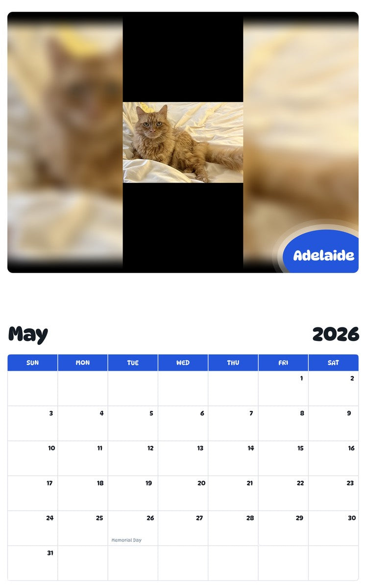 2026 - 2027 Adelaide - Pawidols Pet Calendar