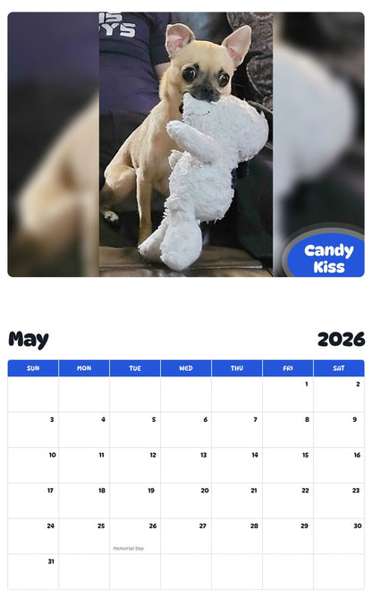 2026 - 2027 Candy Kiss - Pawidols Pet Calendar