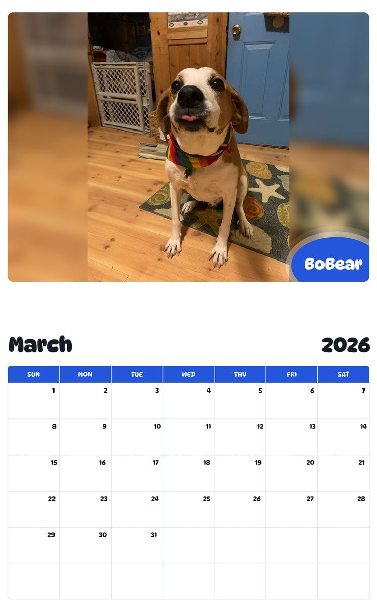 November 2025 - October 2026 BoBear - Pawidols Pet Calendar