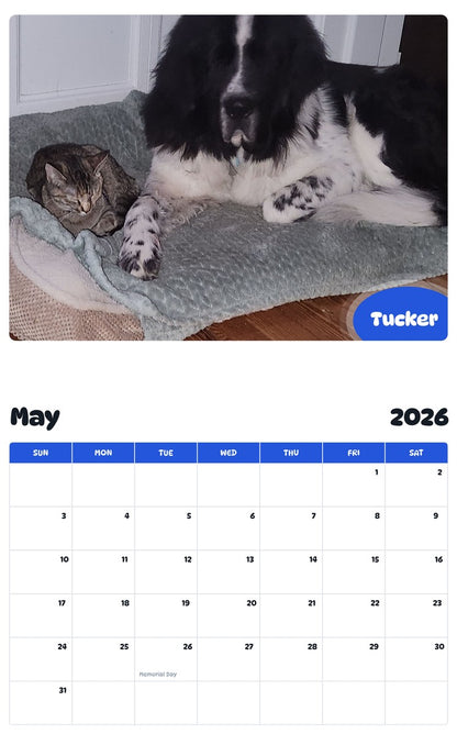 2026 - 2027 Tucker - Pawidols Pet Calendar