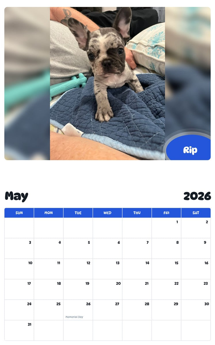 2026 - 2027 Rip - Pawidols Pet Calendar