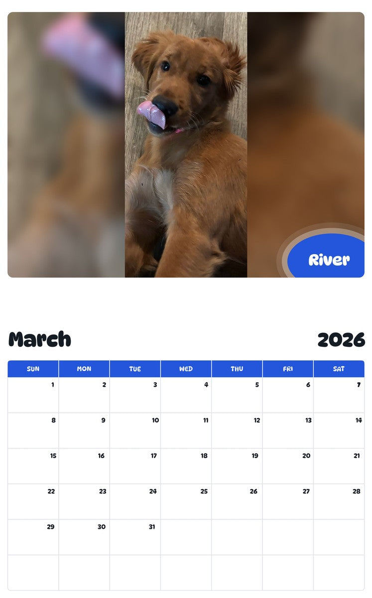 November 2025 - October 2026 River - Pawidols Pet Calendar
