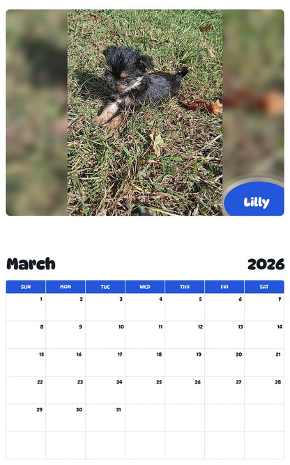 November 2025 - October 2026 Lilly - Pawidols Pet Calendar