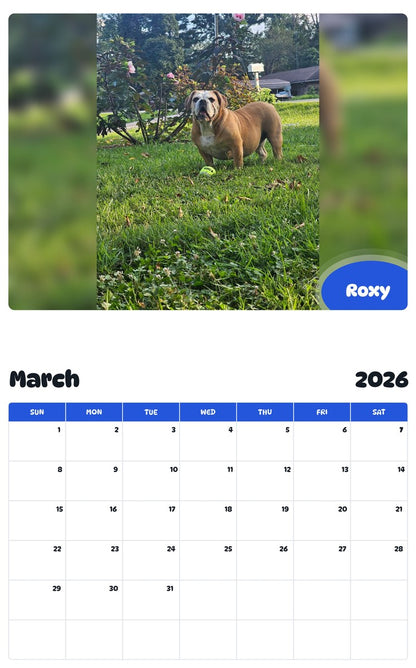November 2025 - October 2026 Roxy - Pawidols Pet Calendar