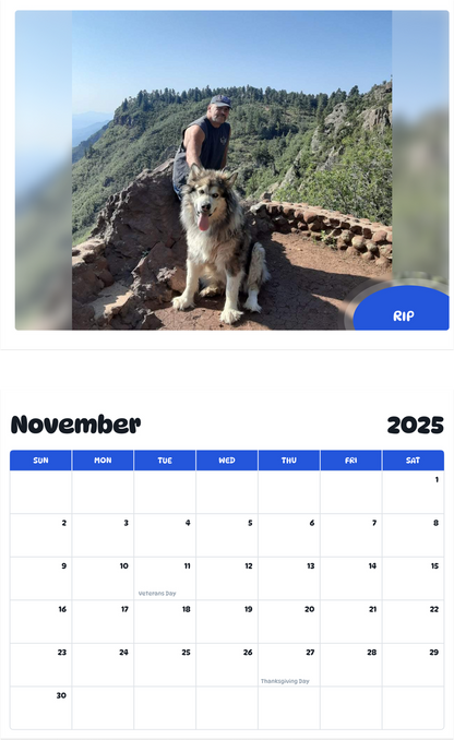 July 2025 - June 2026 Rip - Pawidols Pet Calendar