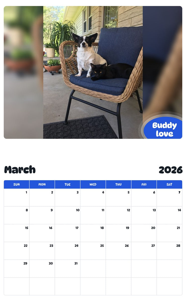 November 2025 - October 2026 Buddy love - Pawidols Pet Calendar