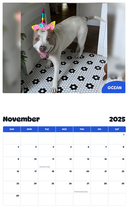 July 2025 - June 2026 Ocean - Pawidols Pet Calendar