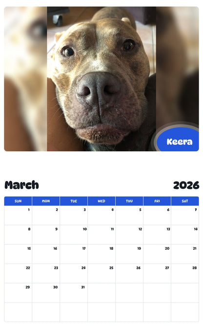 November 2025 - October 2026 Keera - Pawidols Pet Calendar