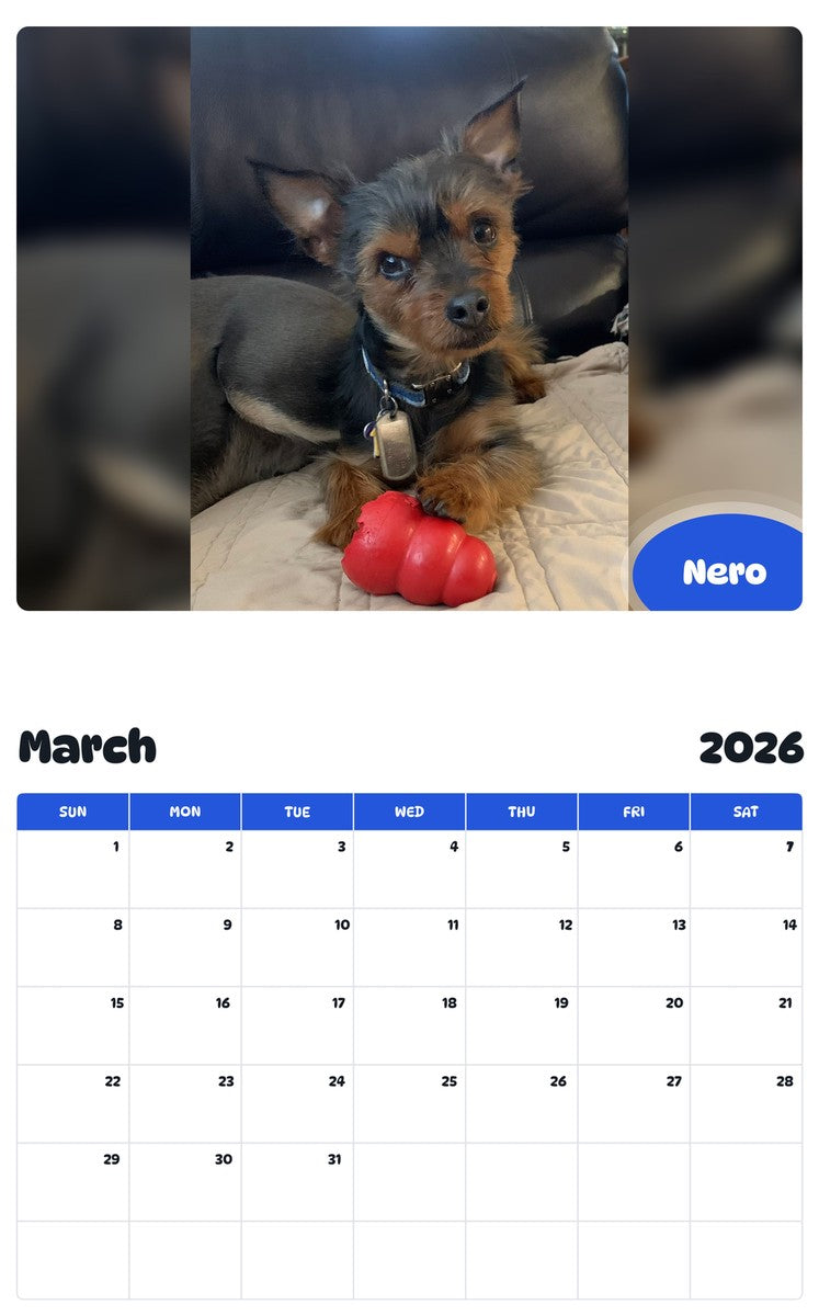 November 2025 - October 2026 Nero - Pawidols Pet Calendar