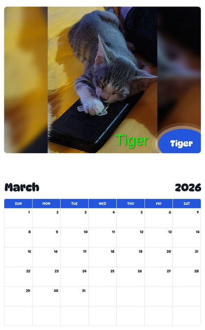 November 2025 - October 2026 Tiger - Pawidols Pet Calendar