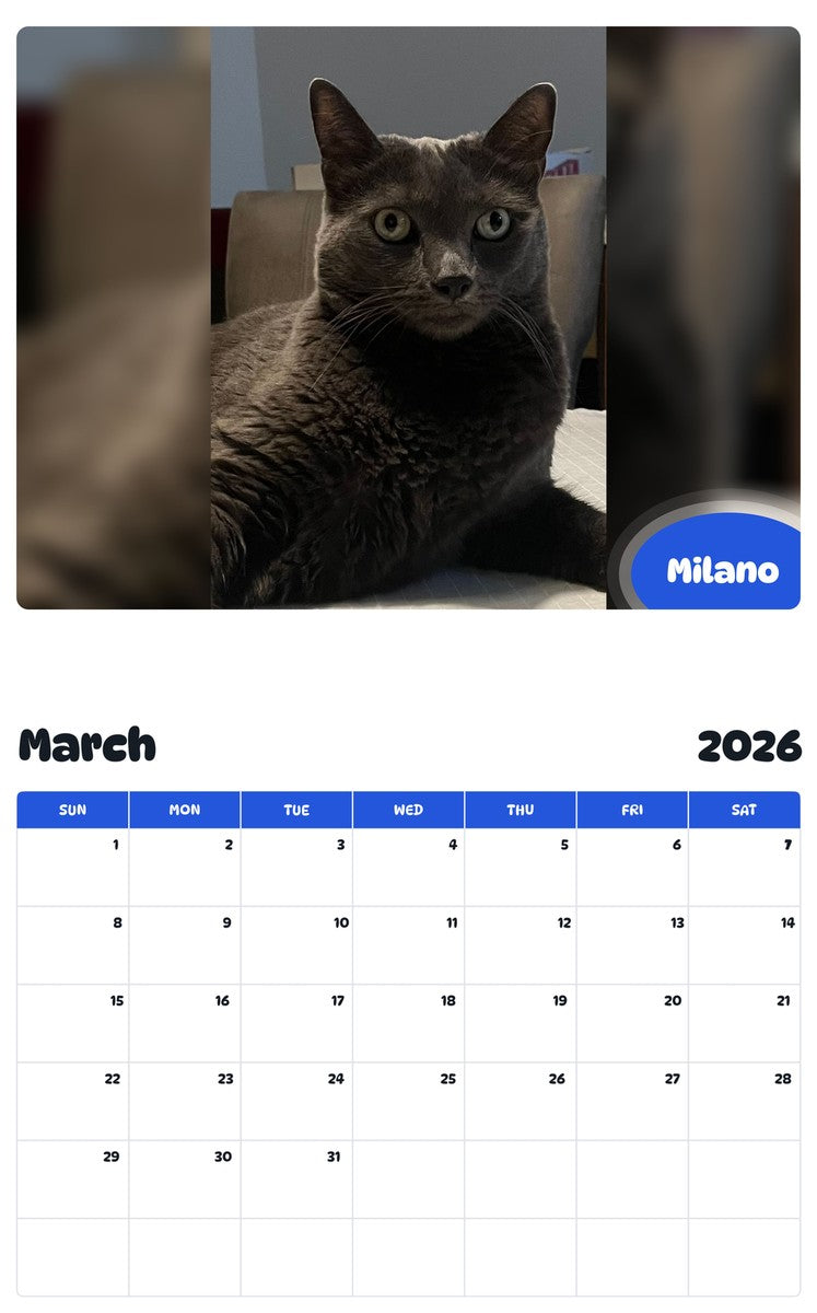 November 2025 - October 2026 Milano - Pawidols Pet Calendar