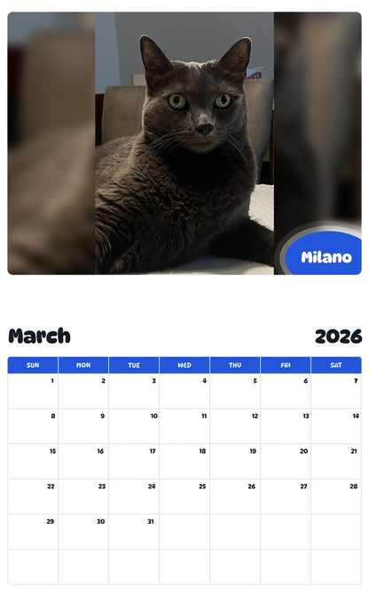 November 2025 - October 2026 Milano - Pawidols Pet Calendar