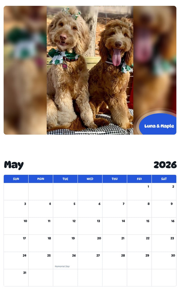 2026 - 2027 Luna & Maple - Pawidols Pet Calendar