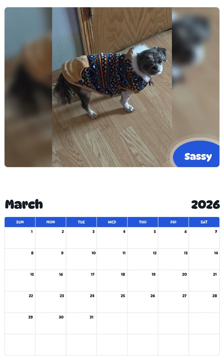November 2025 - October 2026 Sassy - Pawidols Pet Calendar