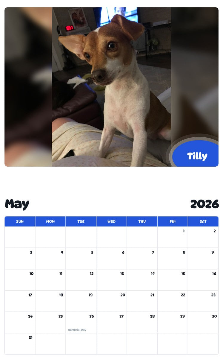 2026 - 2027 Tilly - Pawidols Pet Calendar