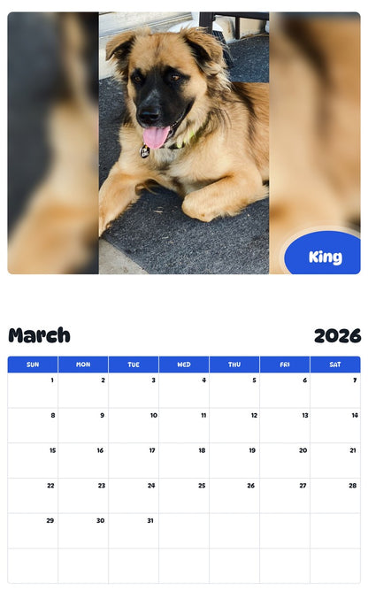 November 2025 - October 2026 King - Pawidols Pet Calendar