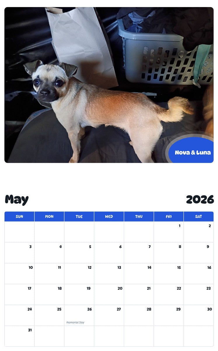 2026 - 2027 Nova & Luna - Pawidols Pet Calendar