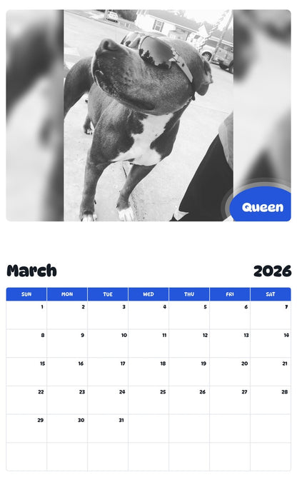 November 2025 - October 2026 Queen - Pawidols Pet Calendar