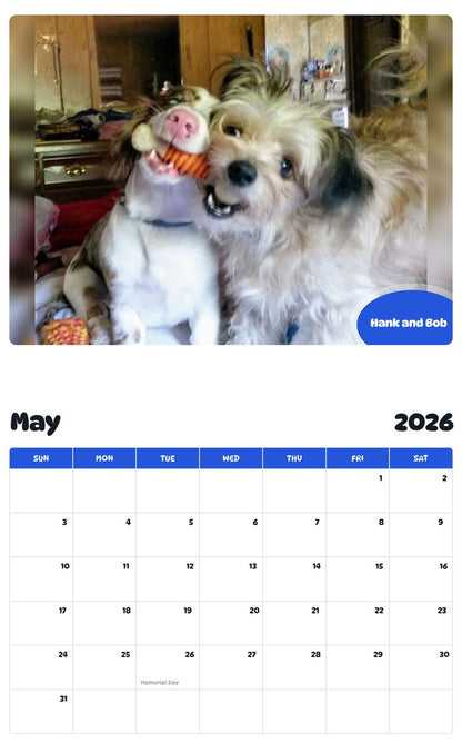 2026 - 2027 Hank and Bob - Pawidols Pet Calendar