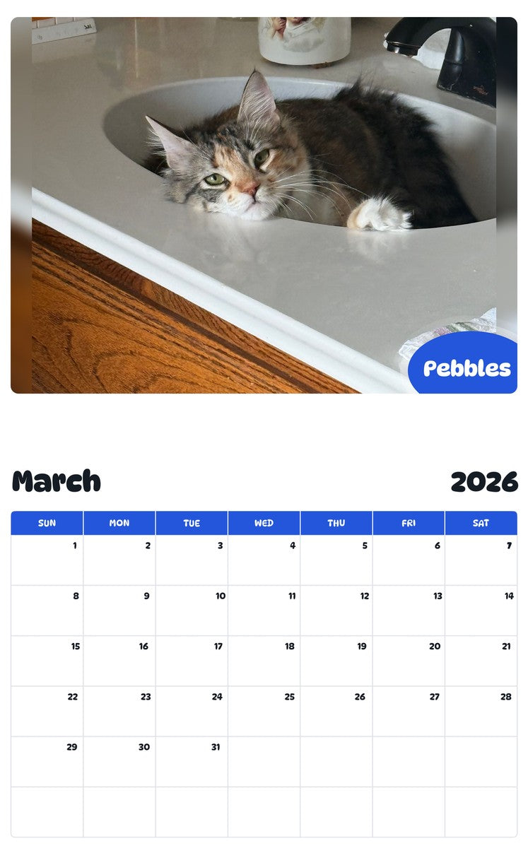 November 2025 - October 2026 Pebbles - Pawidols Pet Calendar