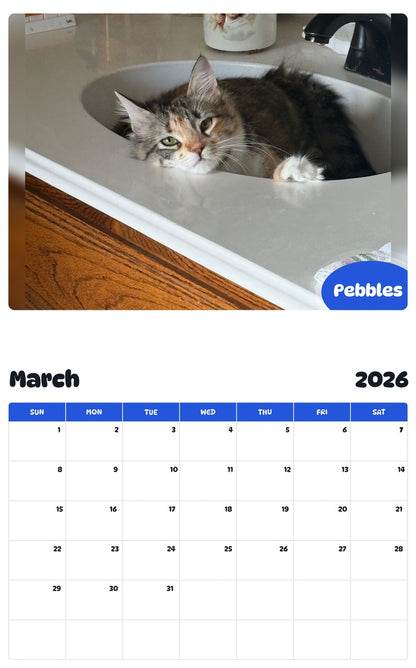 November 2025 - October 2026 Pebbles - Pawidols Pet Calendar