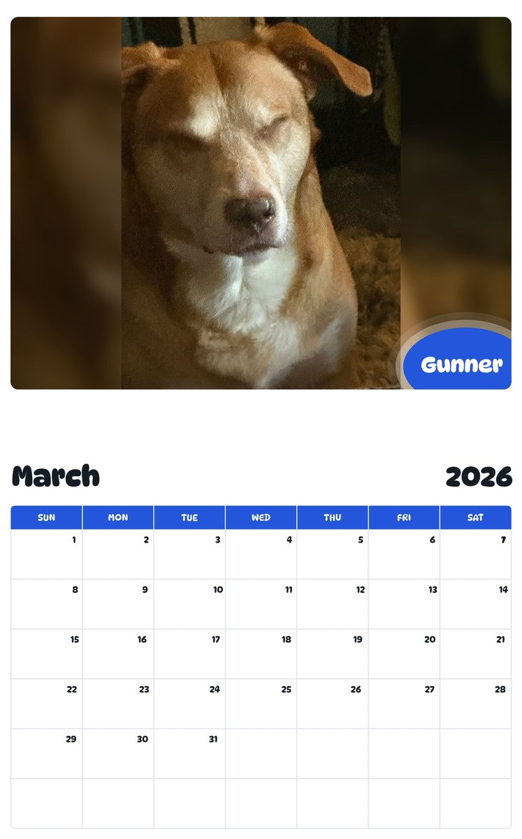 November 2025 - October 2026 Gunner - Pawidols Pet Calendar