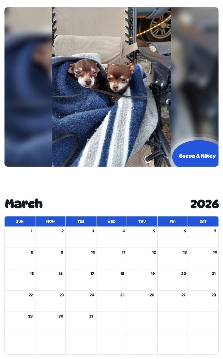 November 2025 - October 2026 Cocoa & Mikey - Pawidols Pet Calendar