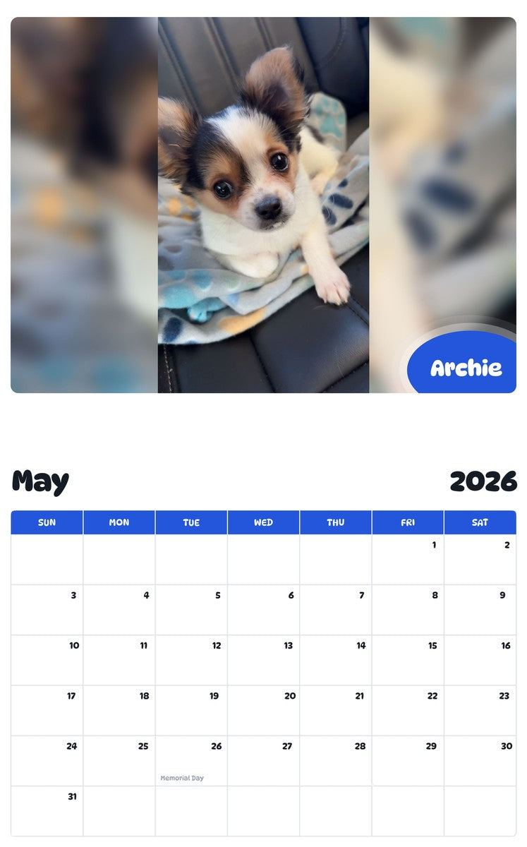 2026 - 2027 Archie - Pawidols Pet Calendar