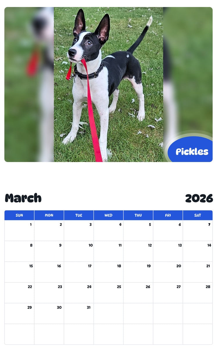 November 2025 - October 2026 Pickles - Pawidols Pet Calendar