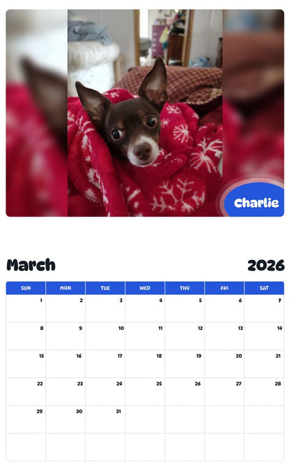 November 2025 - October 2026 Charlie - Pawidols Pet Calendar
