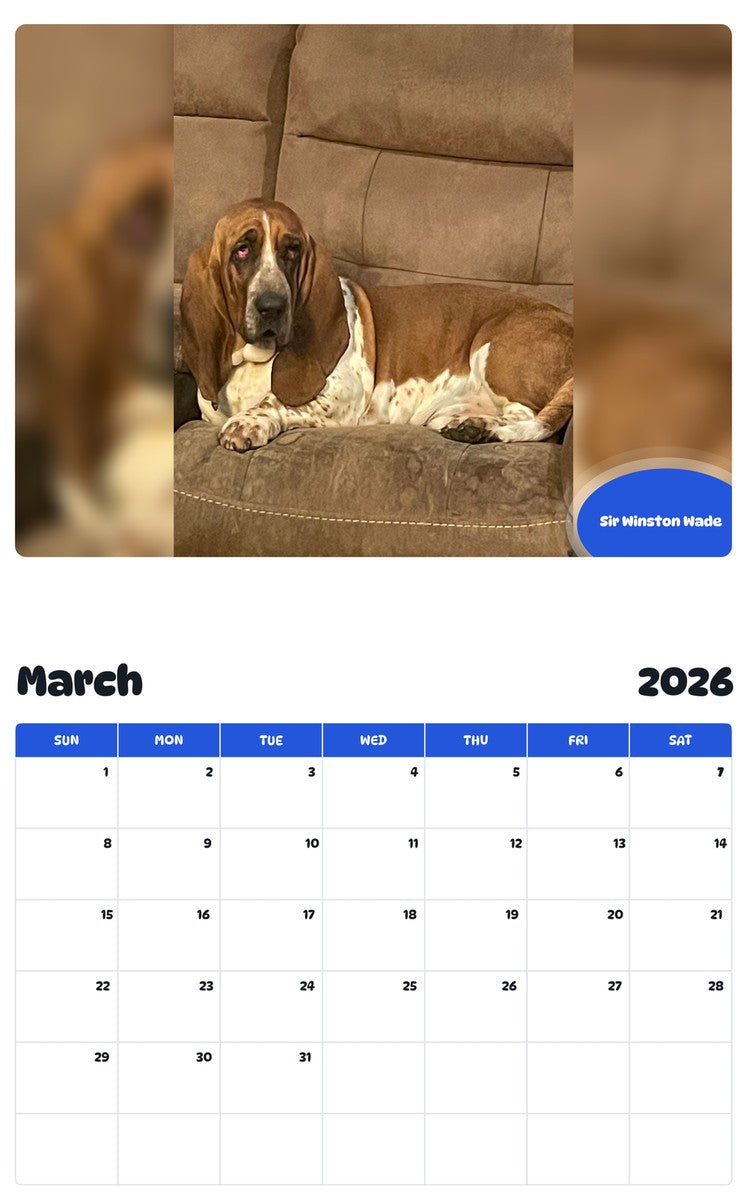 November 2025 - October 2026 Sir Winston Wade - Pawidols Pet Calendar