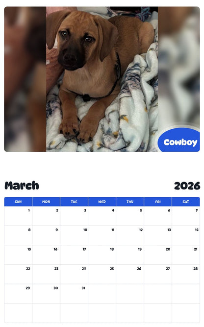 November 2025 - October 2026 Cowboy - Pawidols Pet Calendar