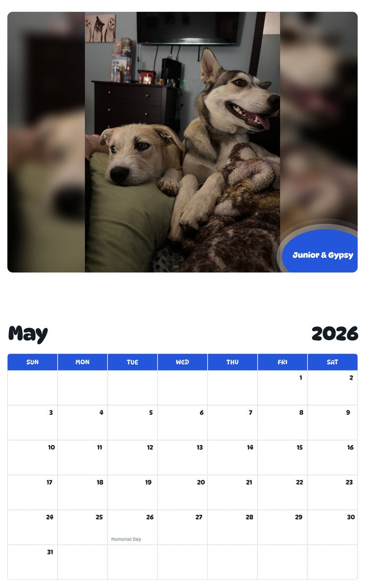 2026 - 2027 Junior & Gypsy - Pawidols Pet Calendar