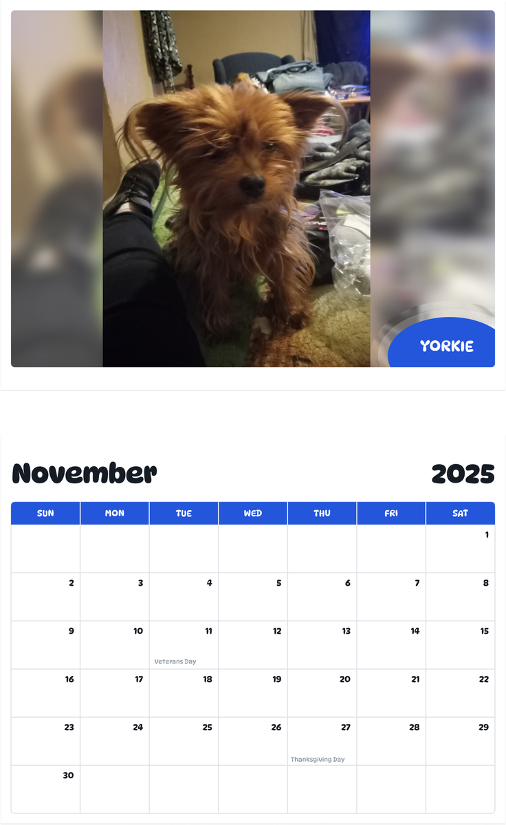 July 2025 - June 2026 Yorkie - Pawidols Pet Calendar