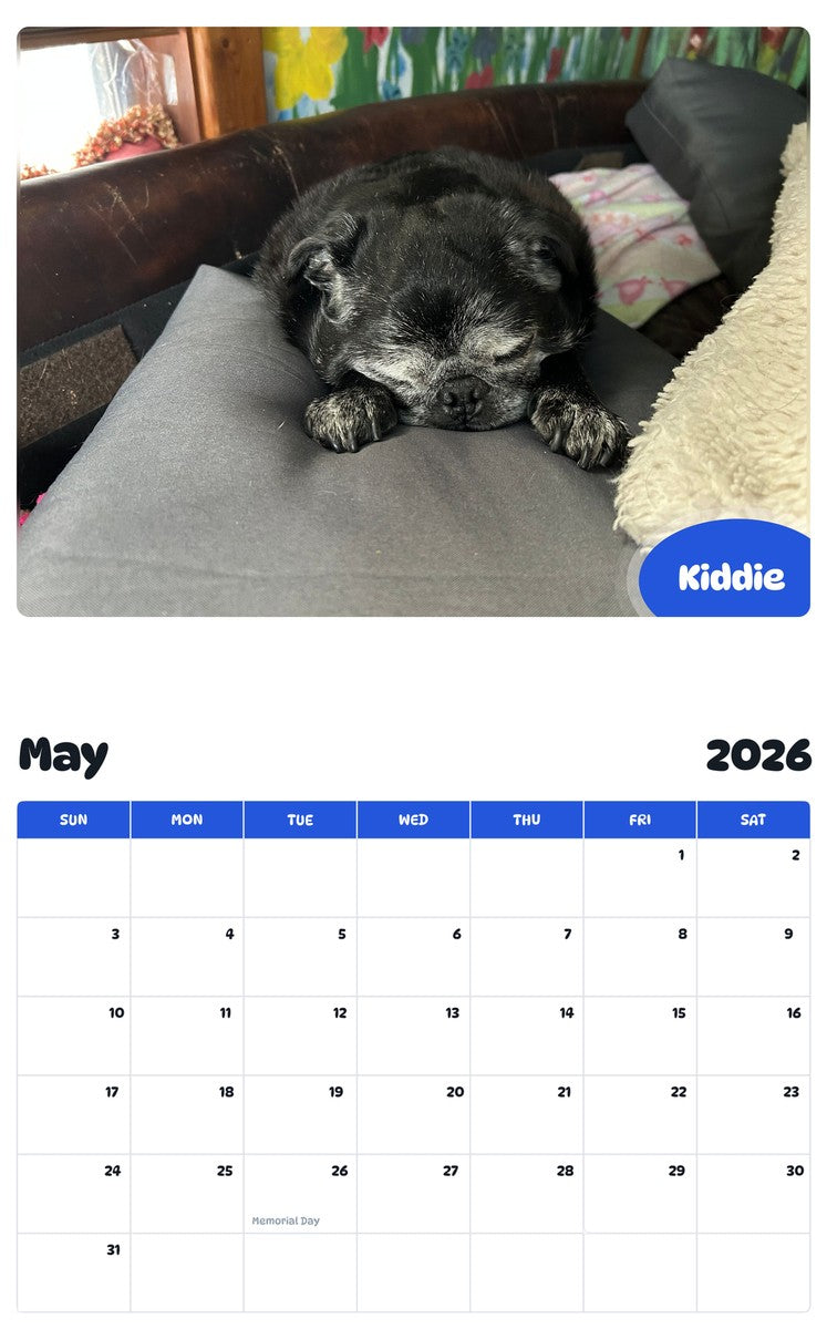 2026 - 2027 Kiddie - Pawidols Pet Calendar