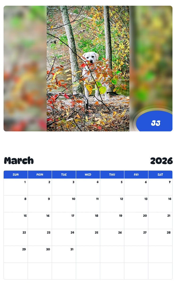 November 2025 - October 2026 JJ - Pawidols Pet Calendar