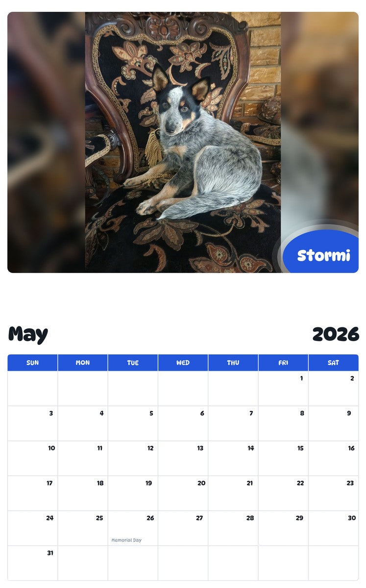 2026 - 2027 Stormi - Pawidols Pet Calendar