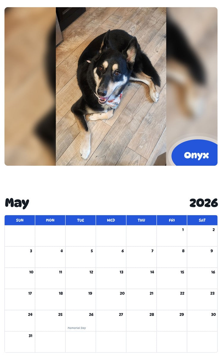 2026 - 2027 Onyx - Pawidols Pet Calendar