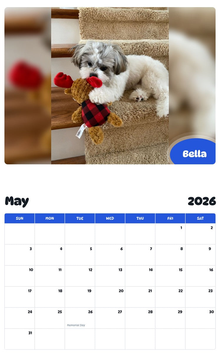 2026 - 2027 Bella - Pawidols Pet Calendar