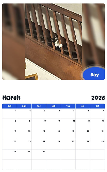 November 2025 - October 2026 Bay - Pawidols Pet Calendar
