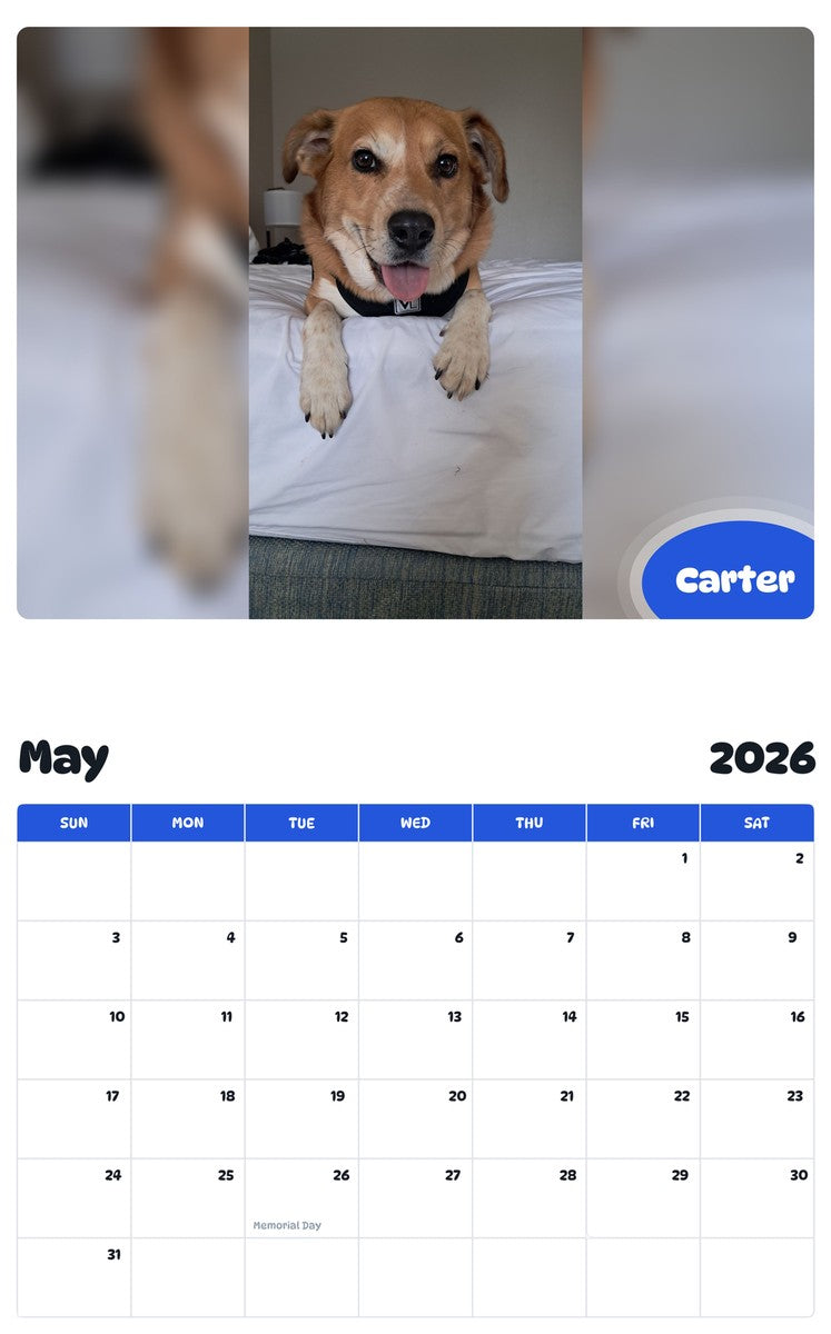 2026 - 2027 Carter - Pawidols Pet Calendar