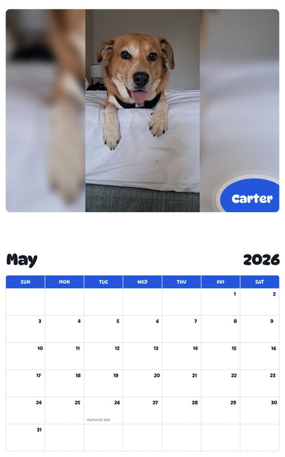 2026 - 2027 Carter - Pawidols Pet Calendar