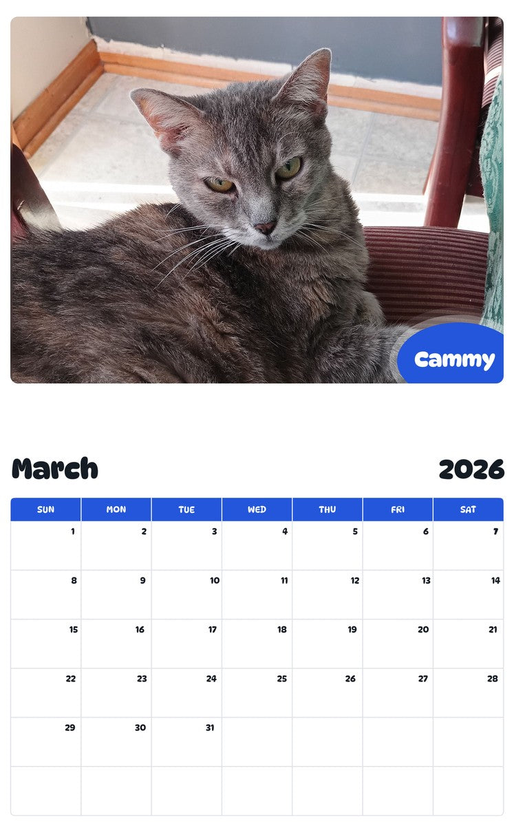 November 2025 - October 2026 Cammy - Pawidols Pet Calendar