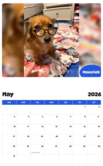 2026 - 2027 Maverick - Pawidols Pet Calendar