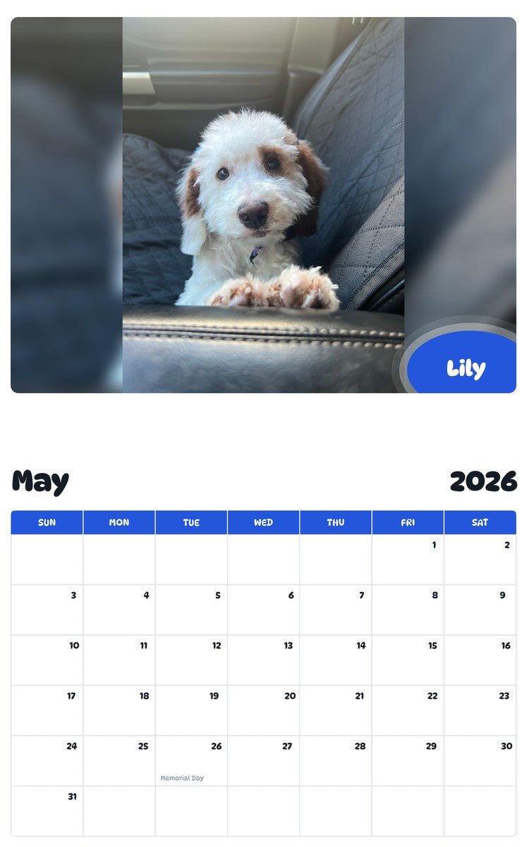 2026 - 2027 Lily - Pawidols Pet Calendar