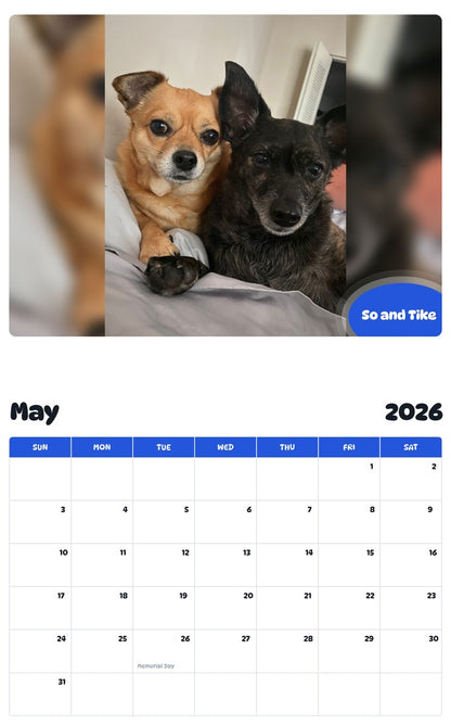 2026 - 2027 So and Tike - Pawidols Pet Calendar