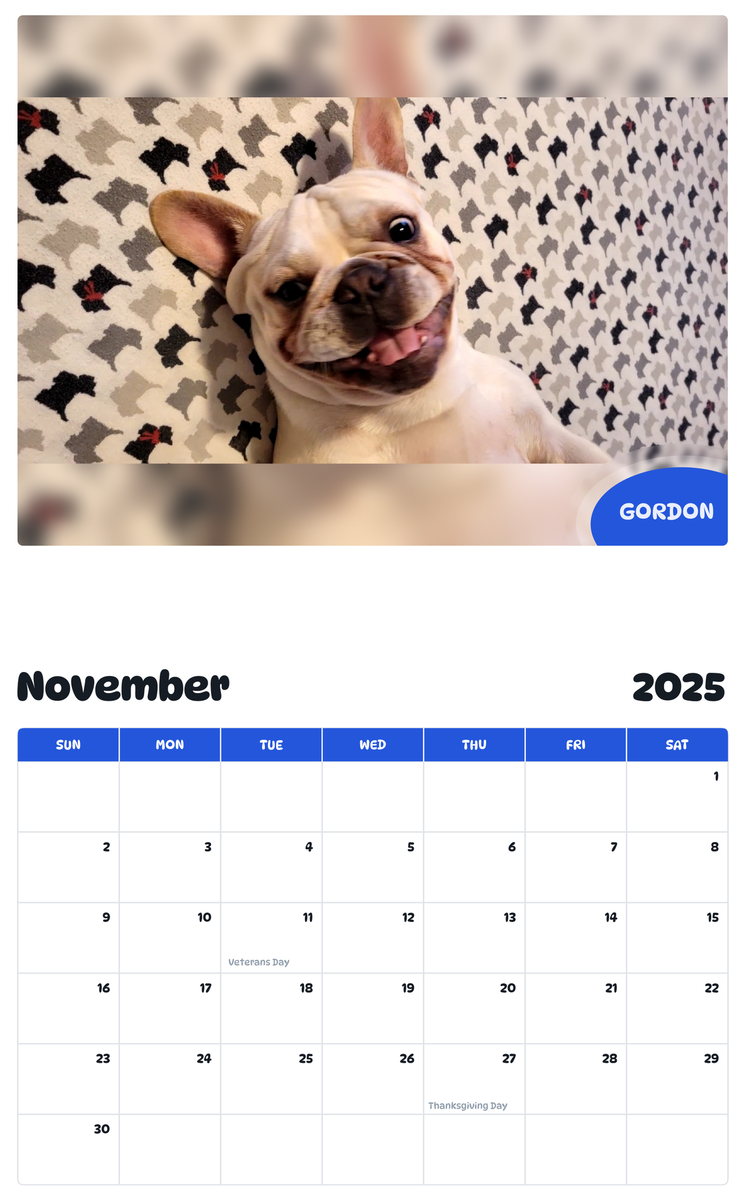 July 2025 - June 2026 Gordon - Pawidols Pet Calendar